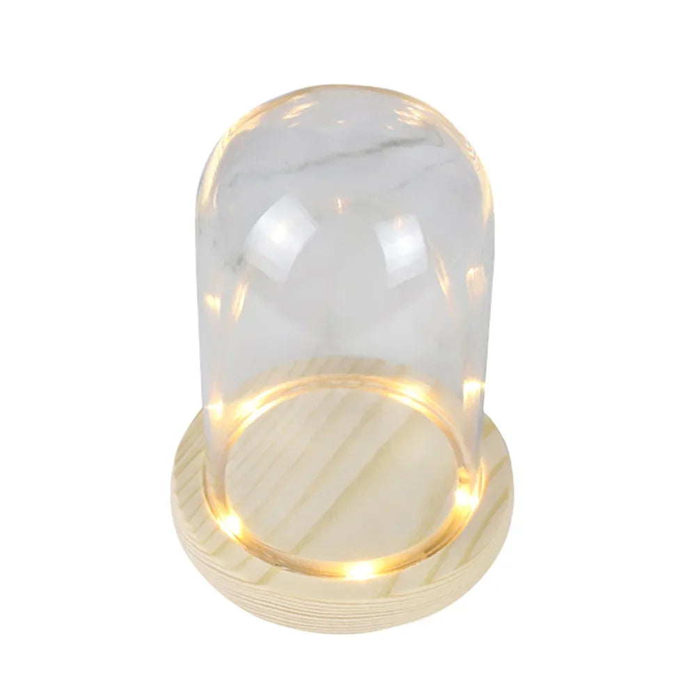 Glass Dome Wooden Base With LED Light Birthday Gift Bedroom Decor Glass Cover Landscape Vase Terrarium Container Flower Holder