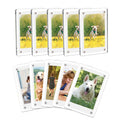 Acrylic Fridge Magnetic Photo Frames 6x9cm Home Decor Double Sided Clear Magnetic Frame for Display 2.46x3.54 Inch Magnet