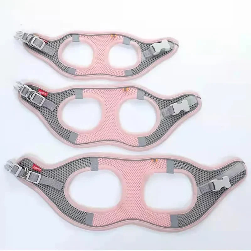 Pettorina riflettente regolabile per cani e gatti – Set con guinzaglio in nylon