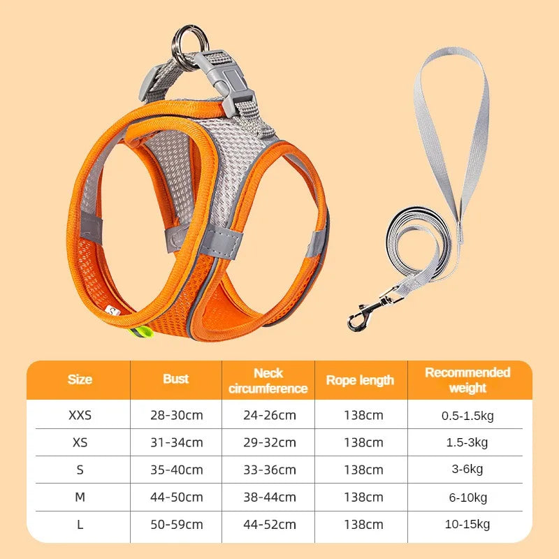 Set Imbracatura Regolabile per Cuccioli e Gatti – Nylon Riflettente