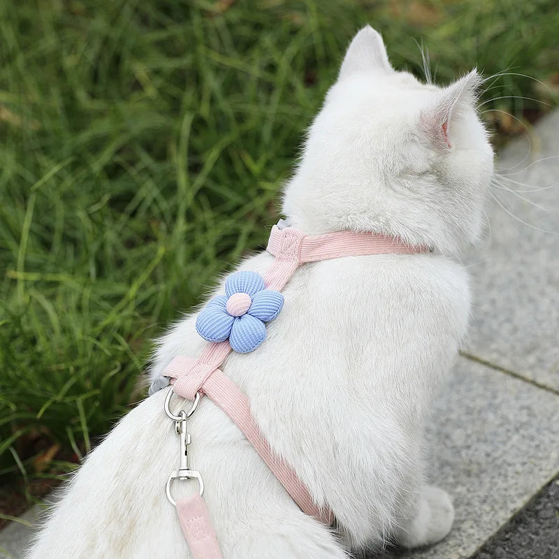 Set guinzaglio e pettorina regolabile per gatto – Comfort e sicurezza