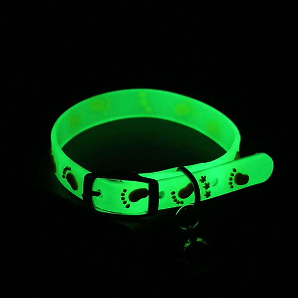 Collarlo per Gatto Luminous con Campanella Fluorescente Antismarrimento in…