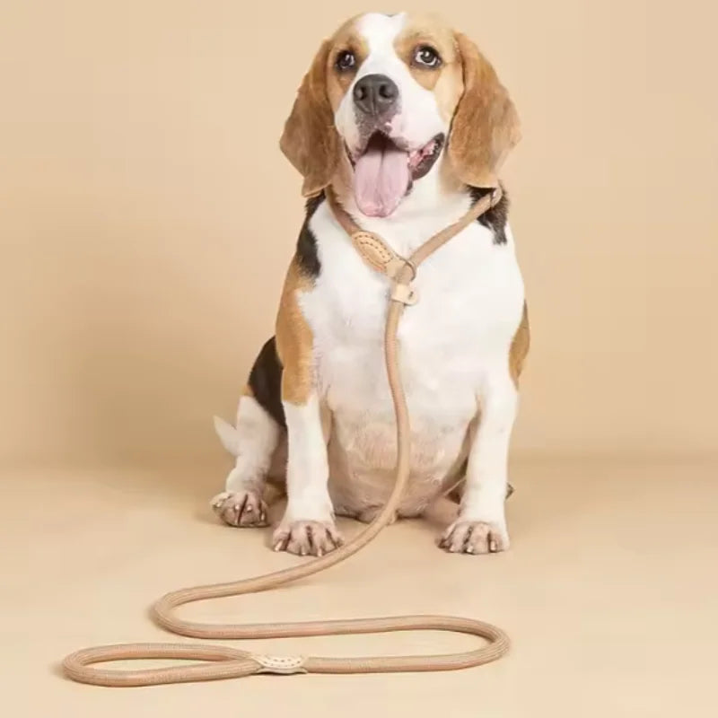 Guida in Corda Slip per Cani Medi e Grandi, Regolabile e Resistente
