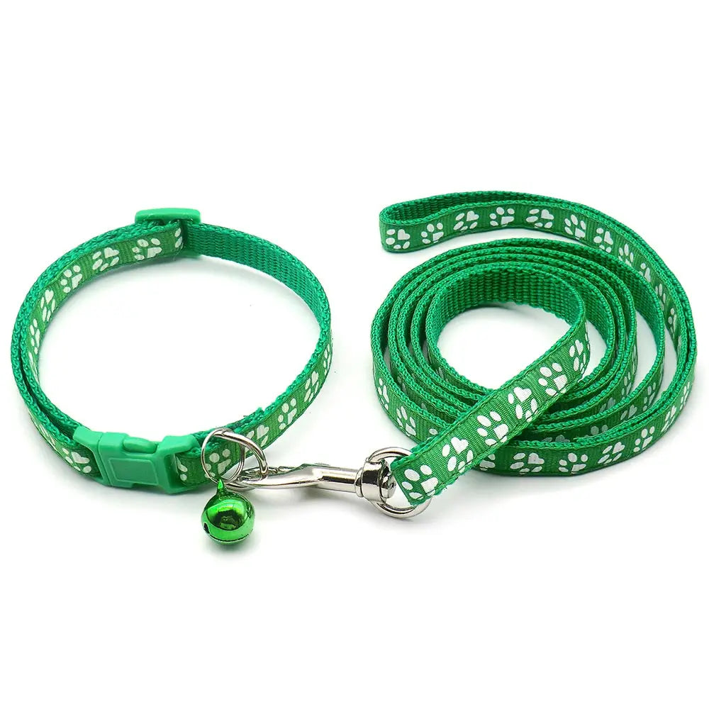 Set guinzaglio e collare per cucciolo 1,2 m in nylon resistente –…
