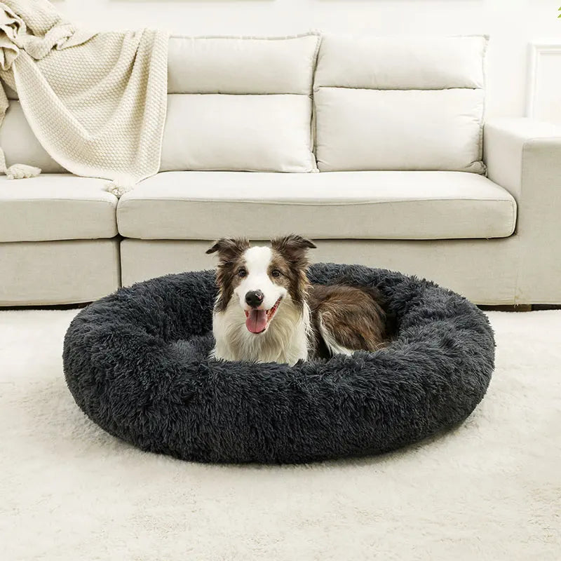 Cuccia morbida in peluche lungo per cani e gatti – Cuscino letto per animali