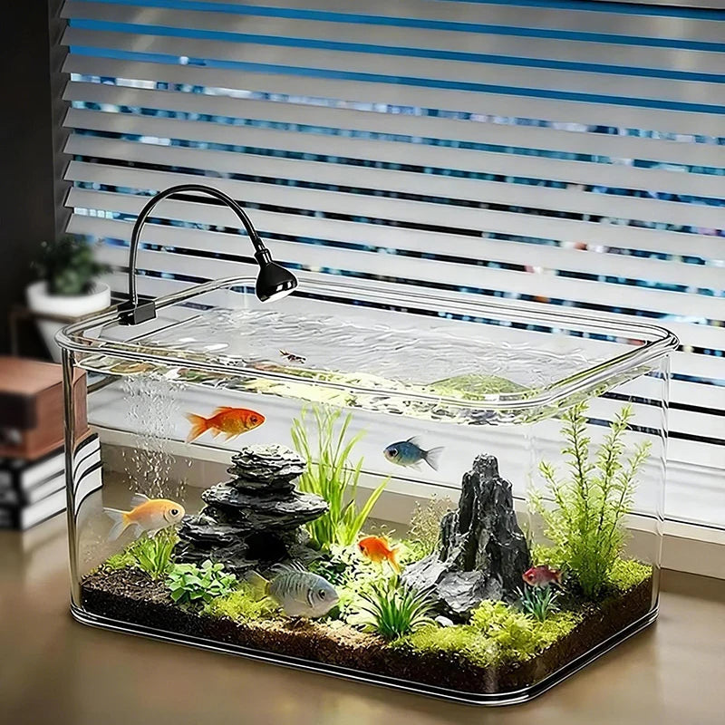Acquario da scrivania 360° panoramico mini in PET trasparente – per principianti
