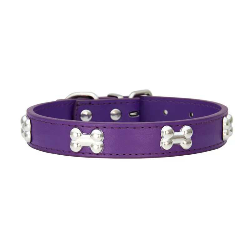 Collare in Pelle per Cani Piccoli e Medi, Breakaway Jeweled Personalizzabile
