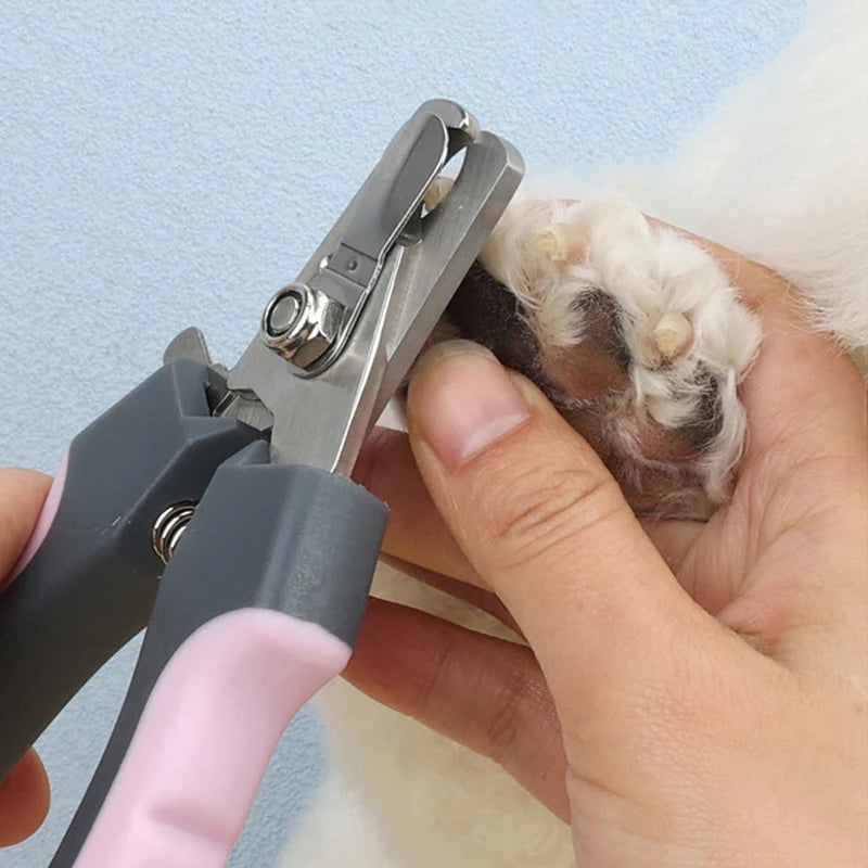 Tagliaunghie Professionale in Acciaio Inox per Cani, Gatti e Conigli