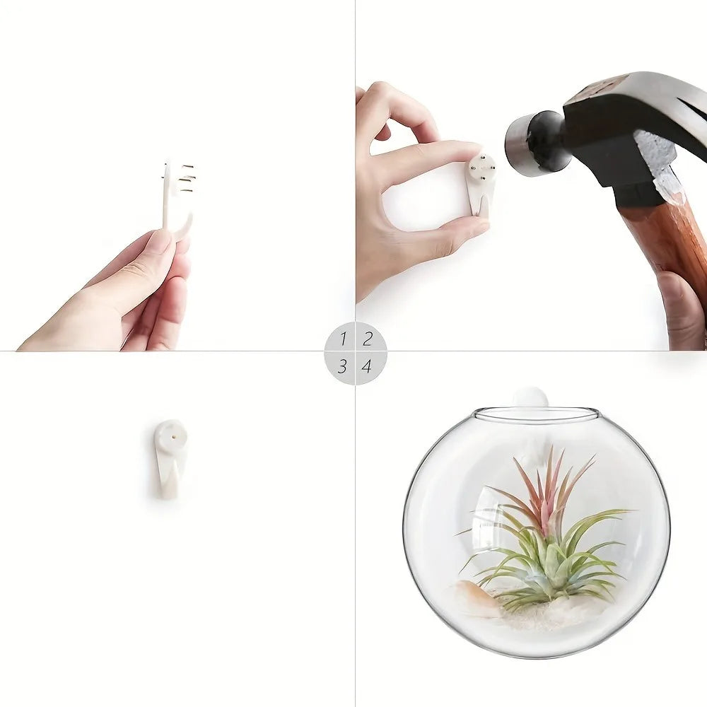 Terrario da parete in vetro con vaso cristallo rotondo - Kit da 2/4/6…