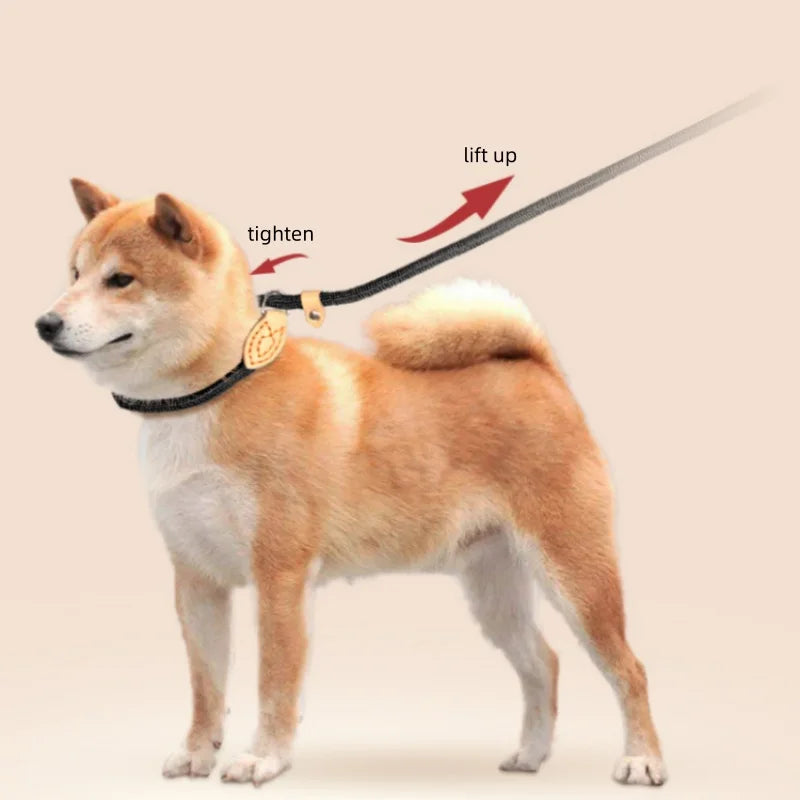 Guinzaglio in Nylon Intrecciato Regolabile per Cani Piccoli e Medi – Resistente…