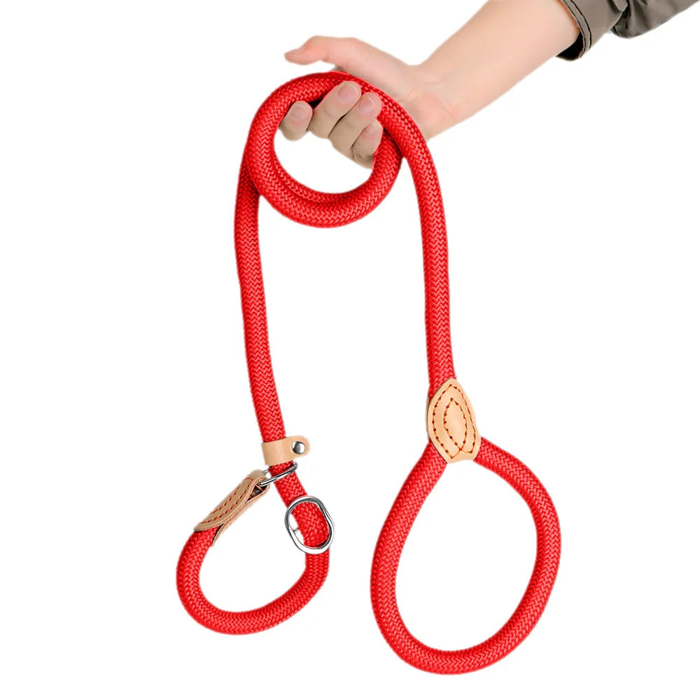 Guinzaglio in Nylon Intrecciato Regolabile per Cani Piccoli e Medi – Resistente…