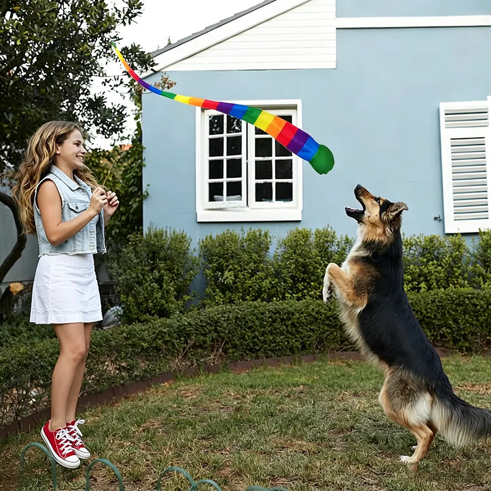 Palline da lancio con nastro arcobaleno – giochi fitness per esterno