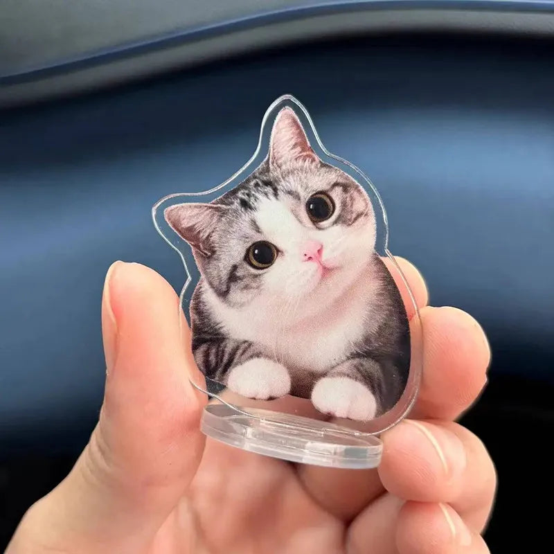 Custom Pet Photo Personal Keychain Customized Clear Acrylic Key Chain Design Making Cute Keyring Goods Made