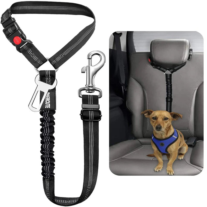 Imbracatura Canino Gatto Cintura Auto 2-in-1 Guinzaglio Sicurezza Sedile…