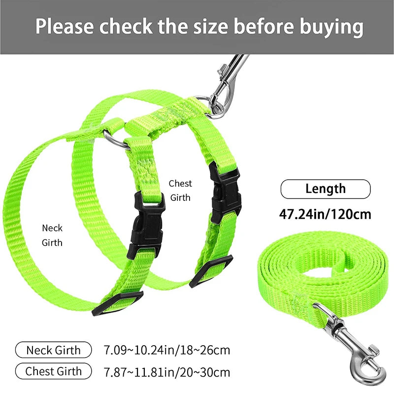 Collare regolabile in nylon per gatti e cuccioli – set con guinzaglio