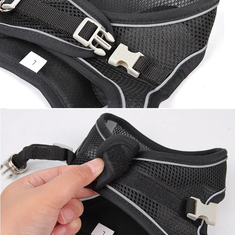 Set Imbracatura Regolabile per Cuccioli e Gatti – Nylon Riflettente