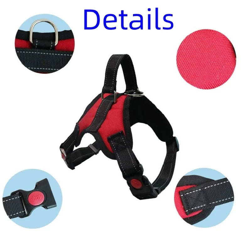 Imbracatura per Cani Vest Taglie S M L - Nylon Riflettente, Chiusura Lampo