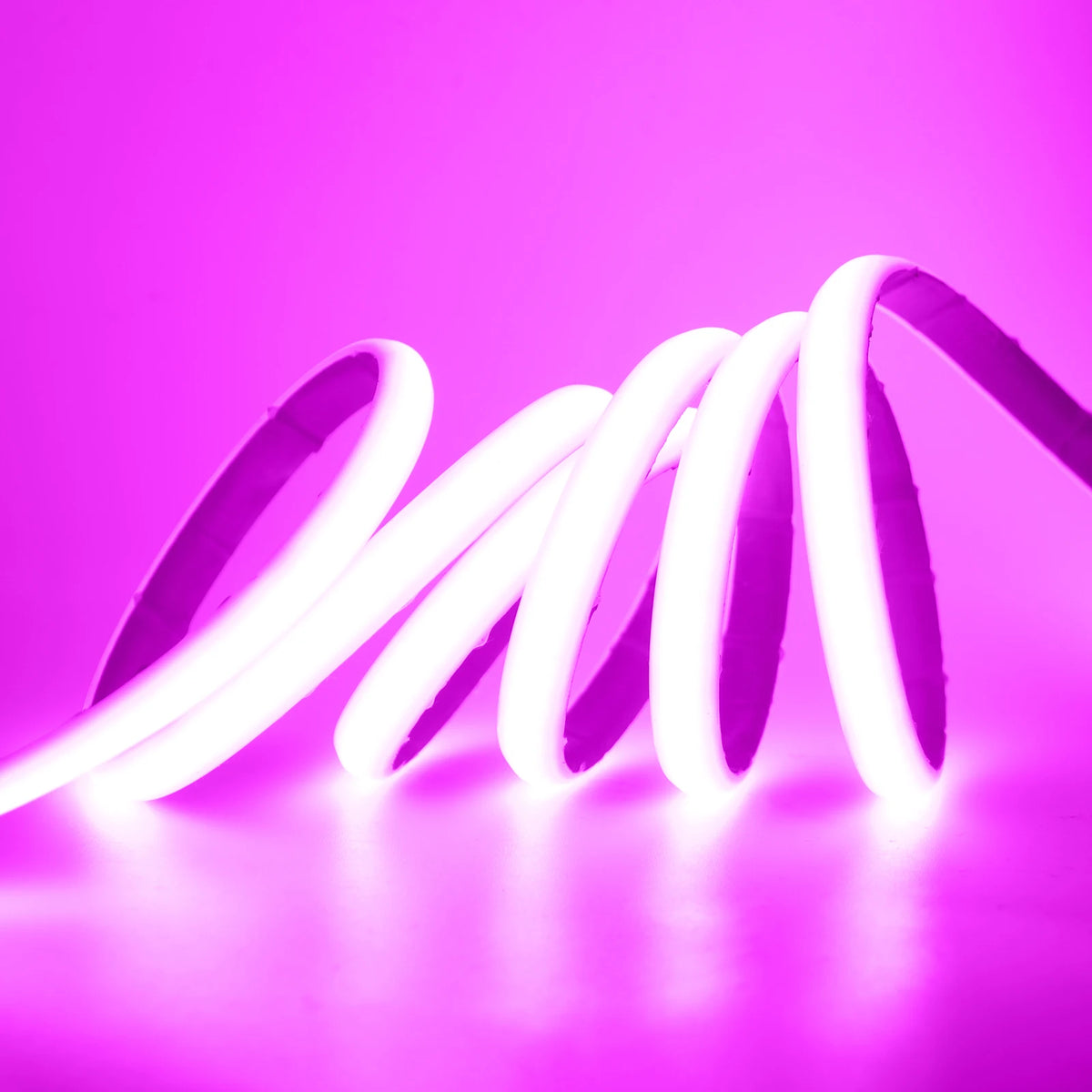 Striscia LED COB 24V impermeabile, colori multipli, energia solare