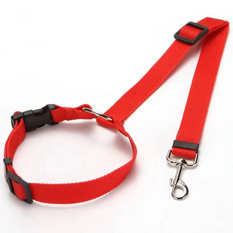Cintura di Sicurezza per Auto e Guinzaglio in Nylon Regolabile – Accessorio per…