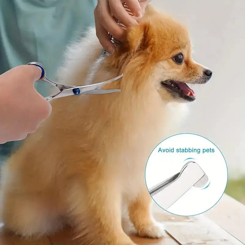 Forbici da toelettatura per cani, acciaio inox, testa rotonda, set da 4 pezzi