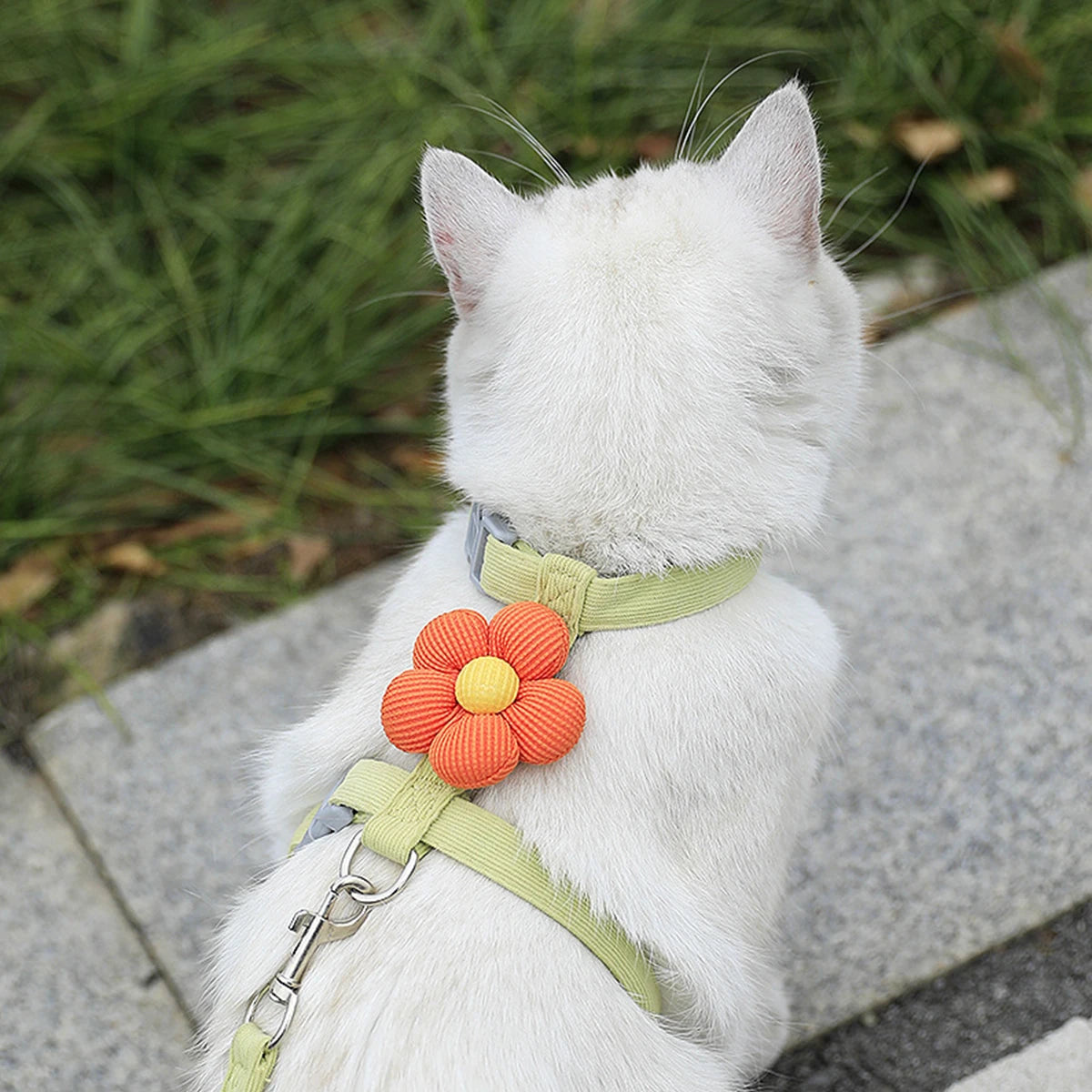 Set guinzaglio e pettorina regolabile per gatto – Comfort e sicurezza