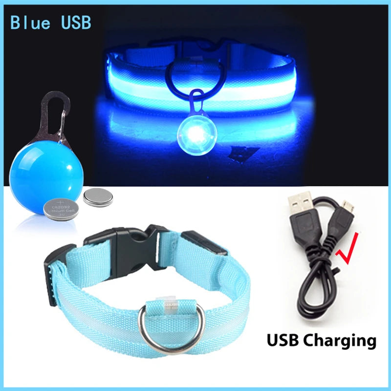 Collier lumineux pour chien rechargeable par USB avec pendentif détachable, collier LED de luxe pour la sécurité nocturne des petits chiens et chats, vente en gros