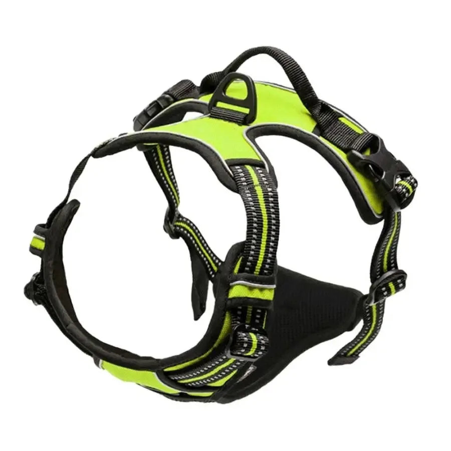 Set Collare e Imbrago a Gilet per Cani di Taglia Media e Piccola
