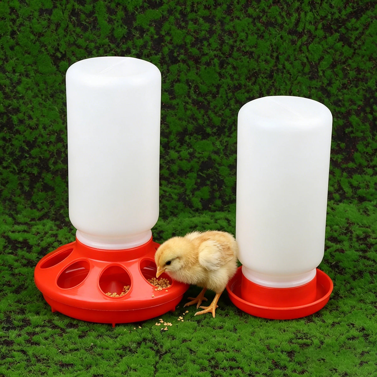 Distributore automatico di cibo e acqua per polli – contenitore in plastica
