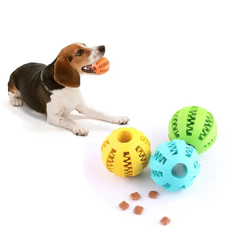 Palla masticabile in gomma per cani e gatti – resistente, non tossica