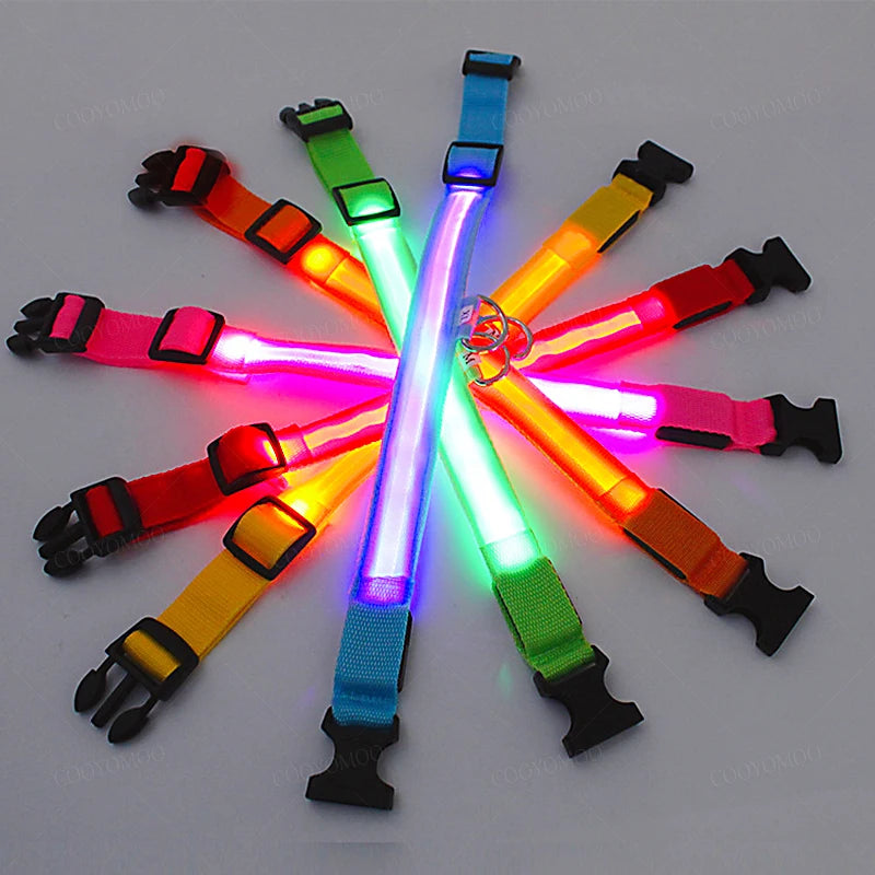Collare LED Luminoso per Cani e Gatti - USB Ricaricabile, 3 Modalità,…