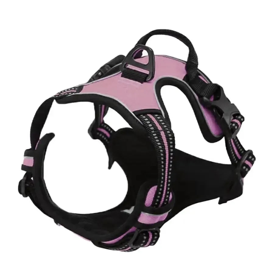 Set Collare e Imbrago a Gilet per Cani di Taglia Media e Piccola