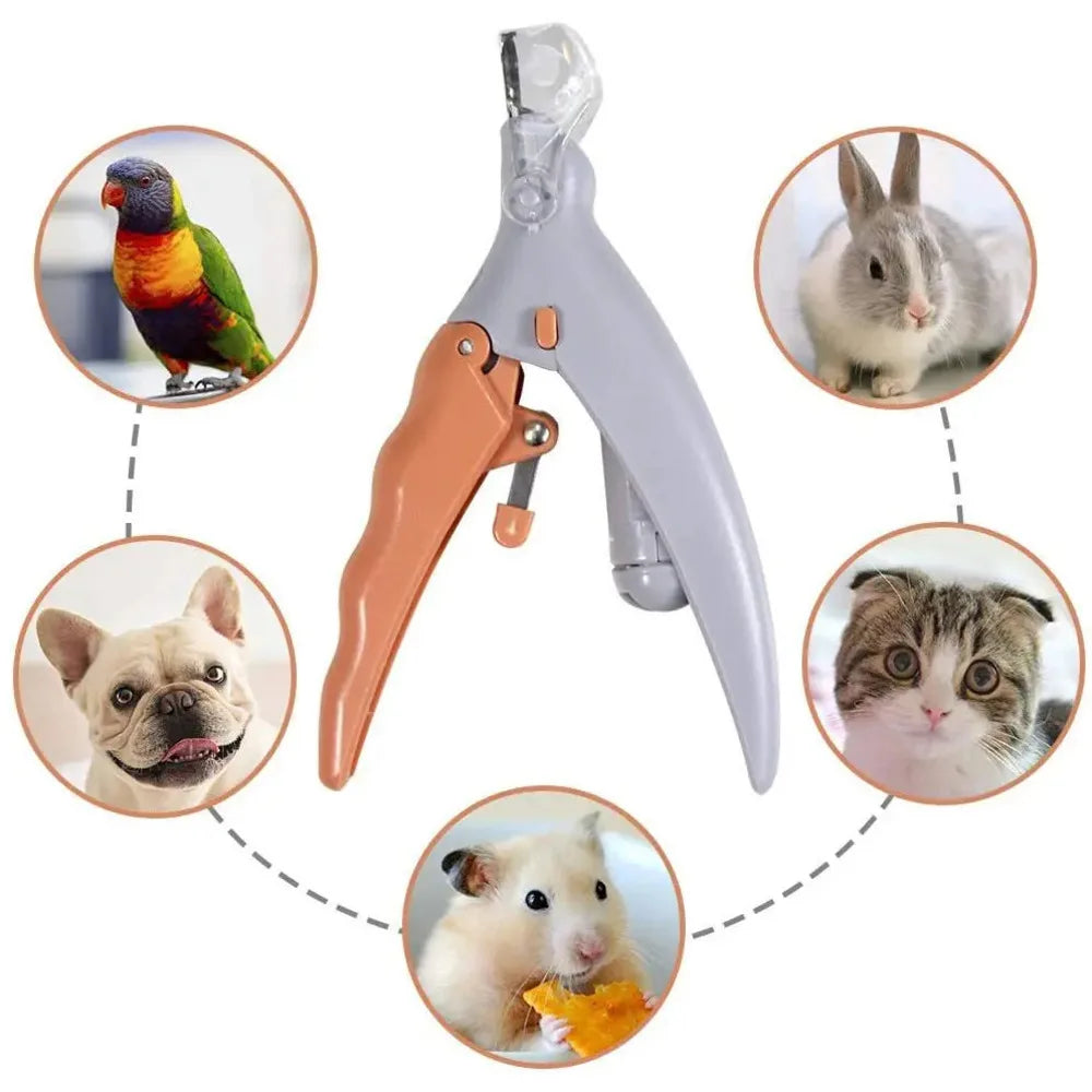 Tagliunghie professionale per animali con luce LED – forbici in acciaio inox