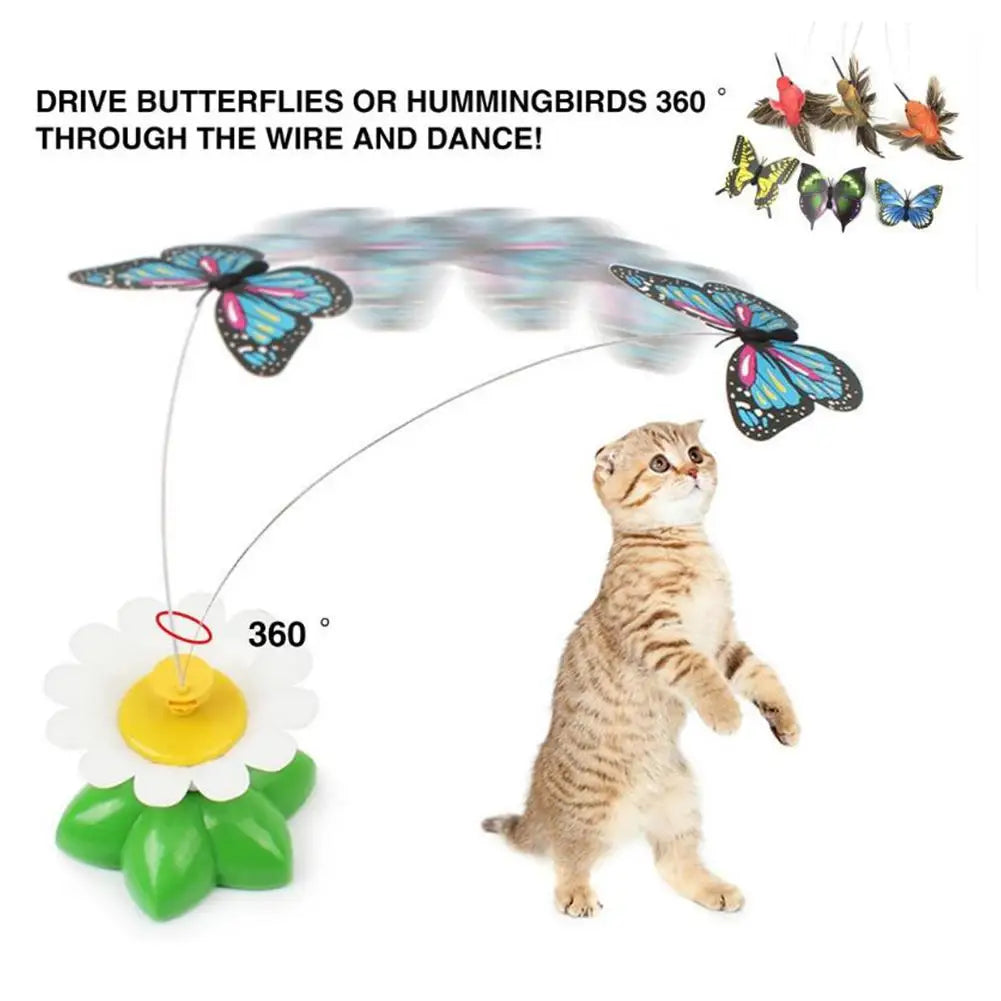 Giochi per Gatti Automatico Farfalla Elettrica Rotante 360°