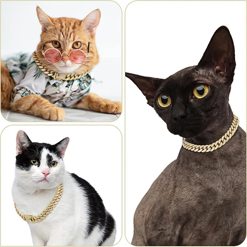 Collare a catena in metallo dorato per cani e gatti – Lusso e resistenza