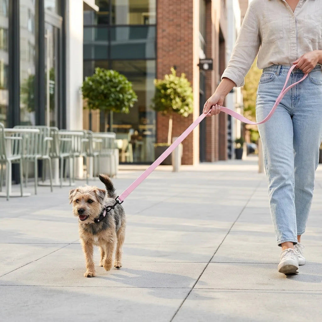 Waterproof PVC Dog Leash Bite Resistant Heavy Duty Training Lead 4FT Long Line for Small Medium Large Dogs,Stain & Odor Resistat