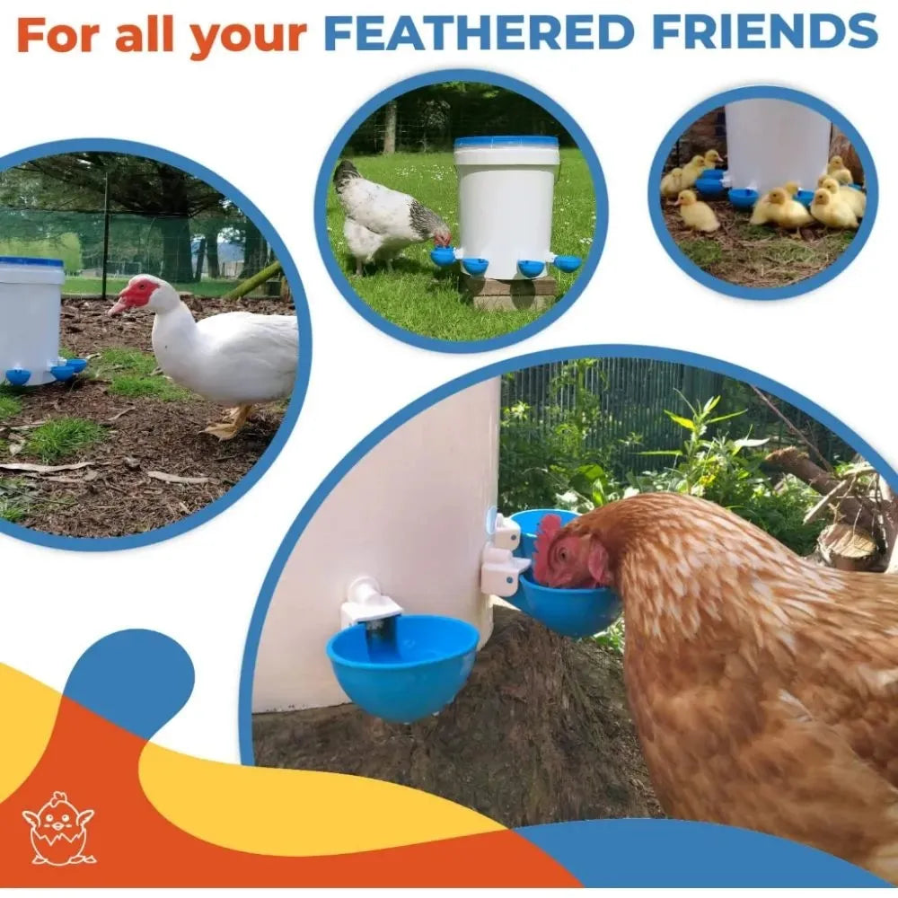 Kit da 5 dispenser automatici d'acqua per pollame – alimentatore e abbeveratoio