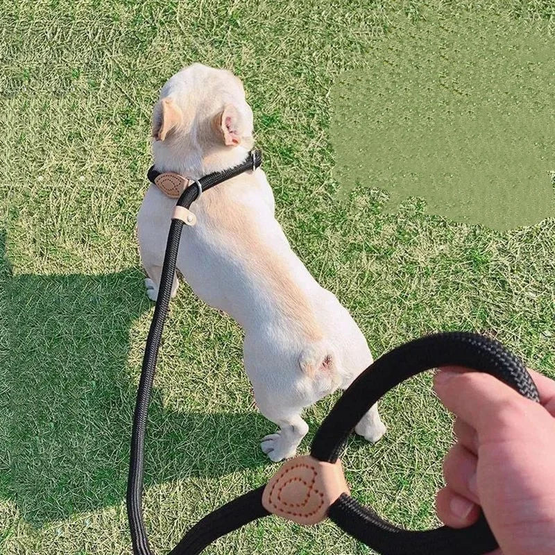 Guida in Corda Slip per Cani Medi e Grandi, Regolabile e Resistente
