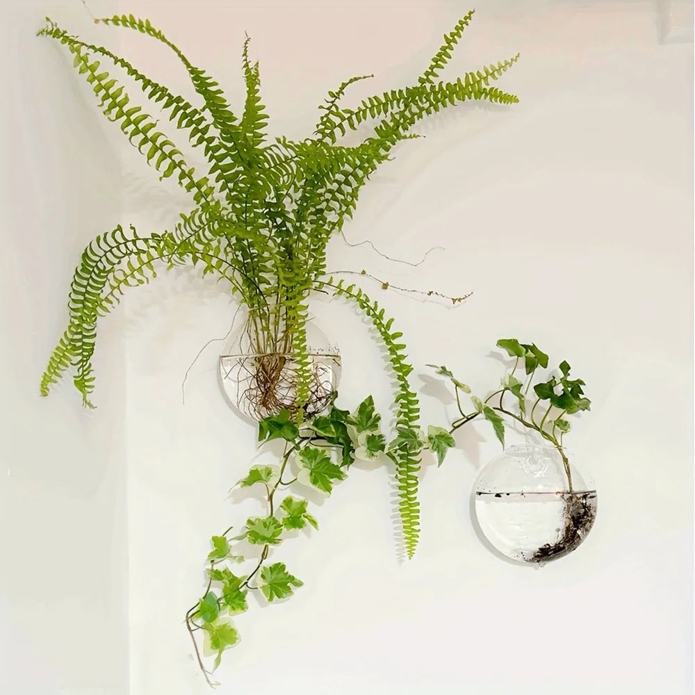 Terrario da parete in vetro con vaso cristallo rotondo - Kit da 2/4/6…