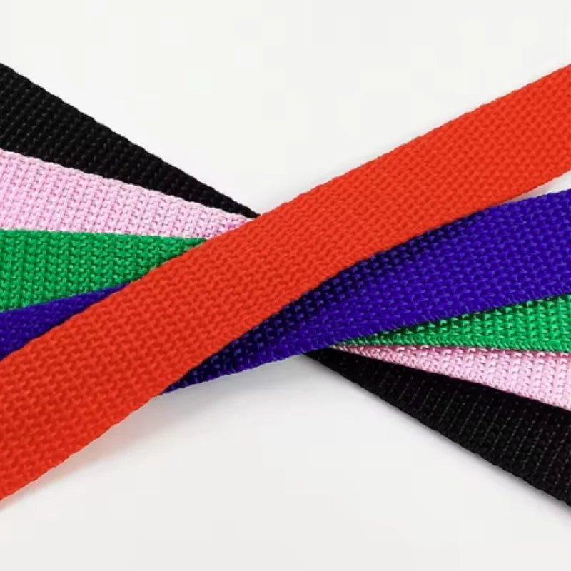 Guida Nylon Lunga per Addestramento Cani 1.2M-30M