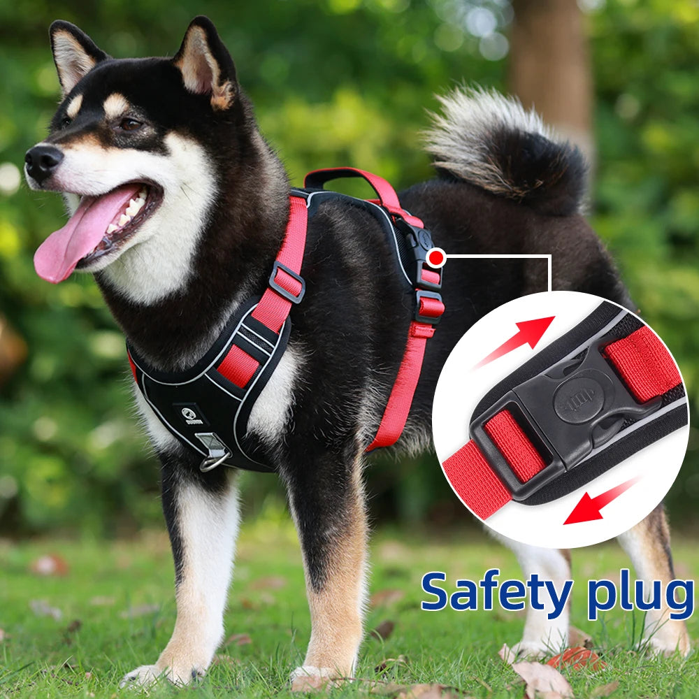 Imbracatura Canina Quick Release in Nylon, Traspirante e Regolabile