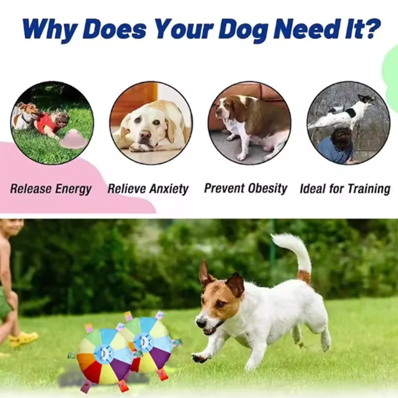 Palla Interattiva per Cani con Campanellino e Maniglie Colorate - Gioco Morbido…