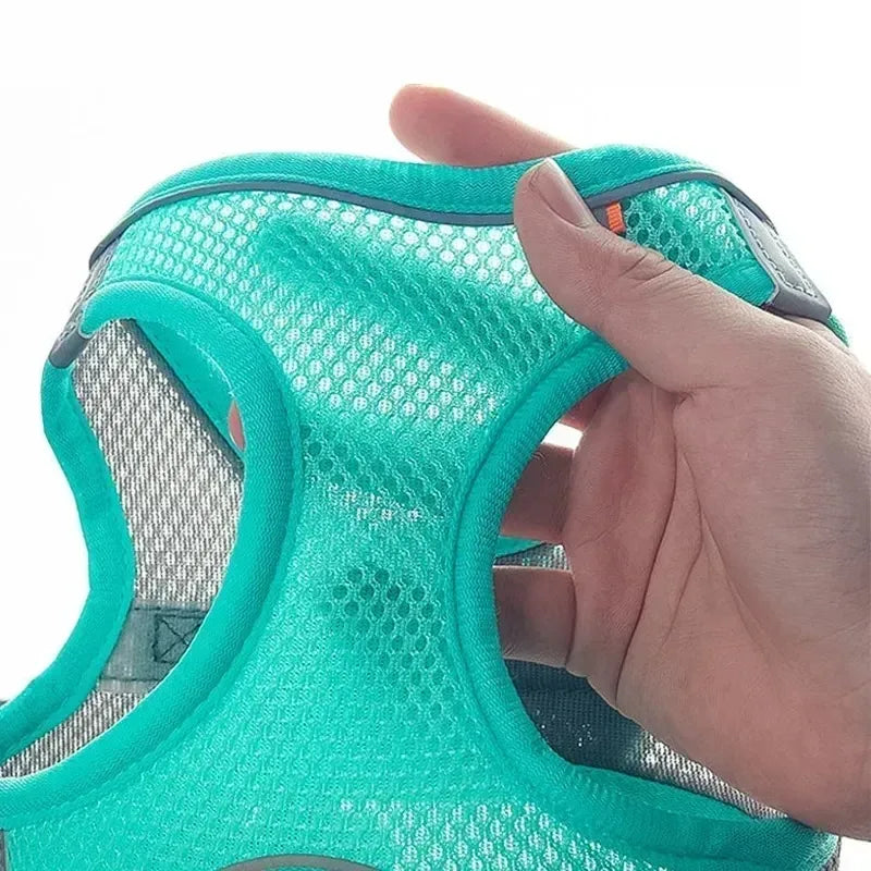 Set Imbracatura Regolabile per Cuccioli e Gatti – Nylon Riflettente