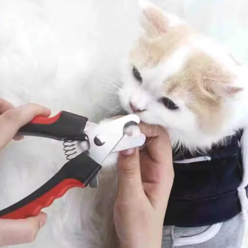 Forbici tagliaunghie professionali in acciaio inox per cani e gatti
