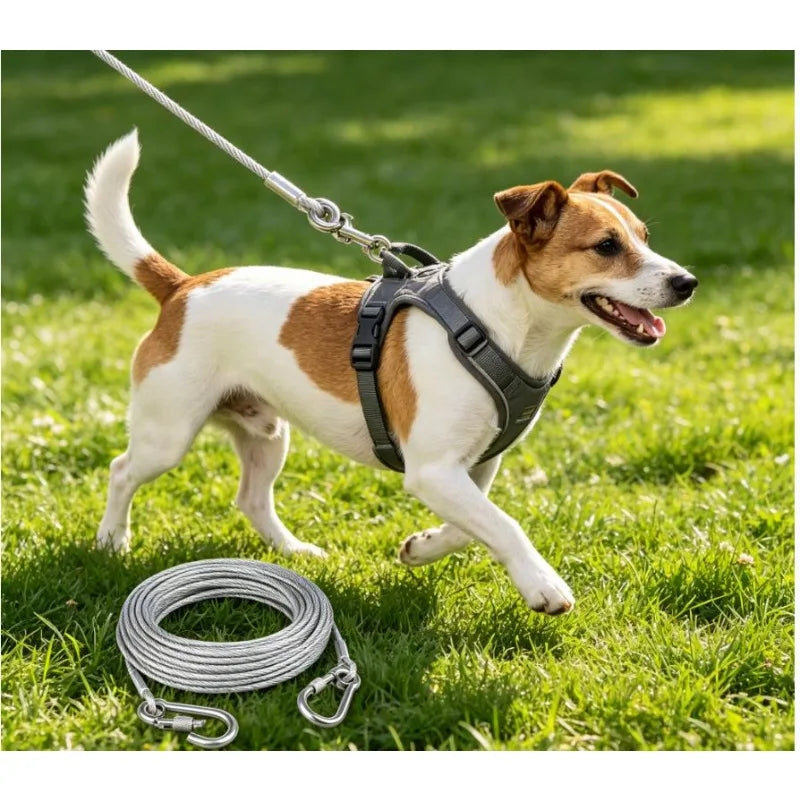 Guinzaglio cane in acciaio inox a doppio capo con fibbia metallica – anti…