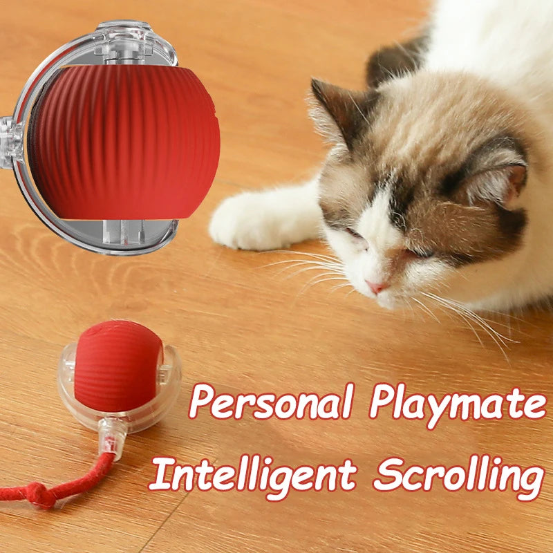 Palla Interattiva per Gatti e Cani – Gioco Automatico con Coda Falsa
