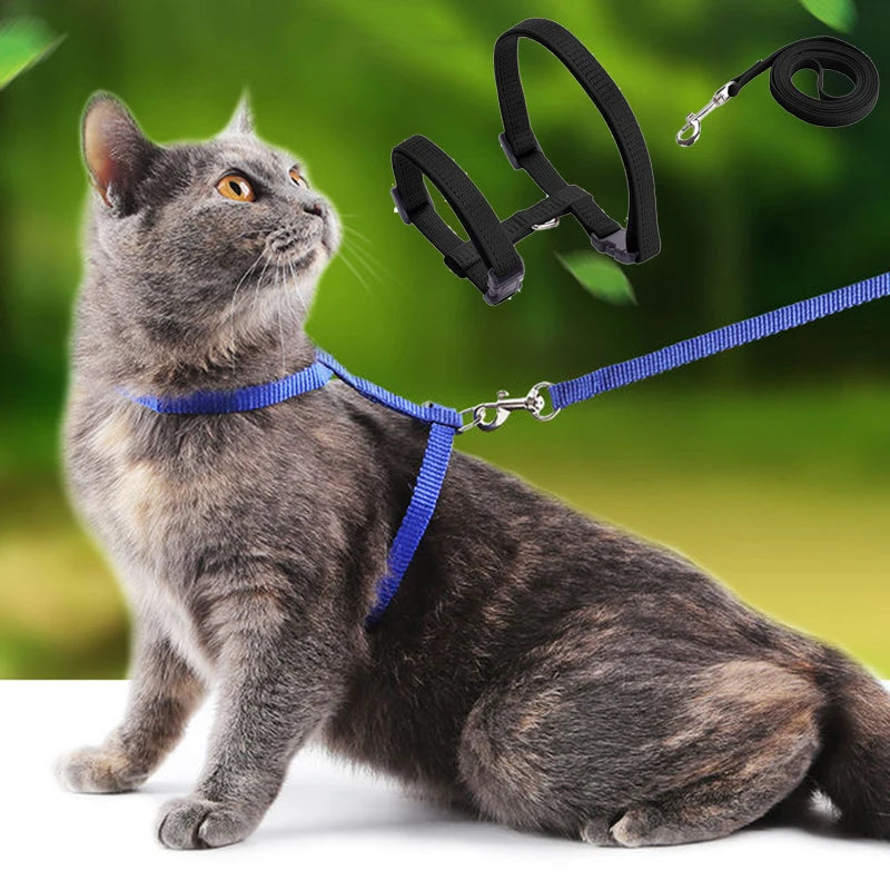 Collare regolabile in nylon per gatti e cuccioli – set con guinzaglio