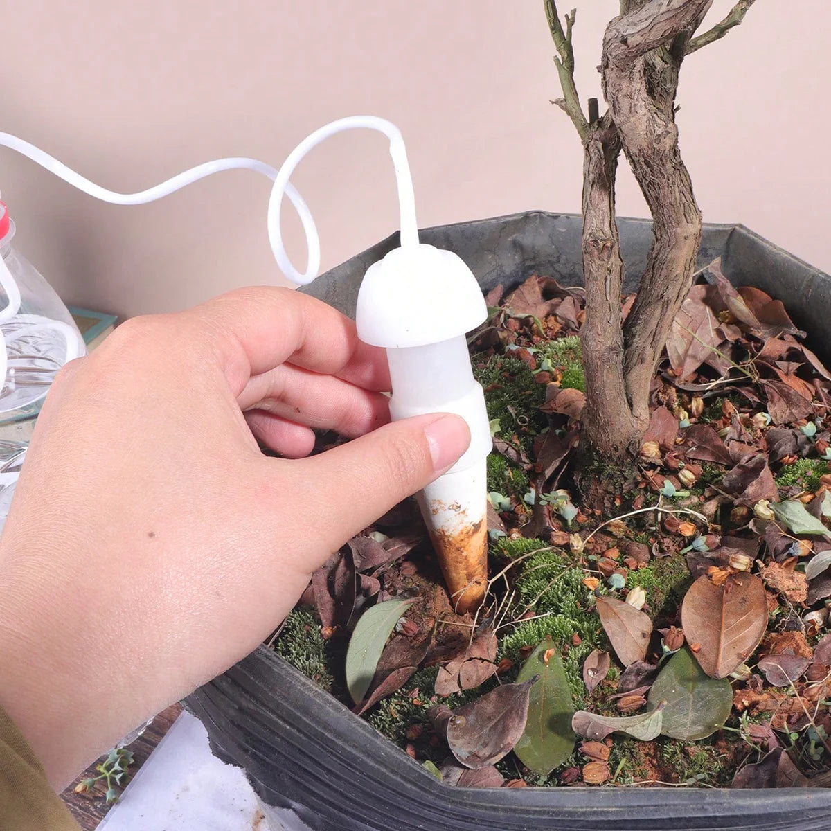 Set da 2 o 4 Irrigatori Automatici in Ceramica per Vasi e Giardino