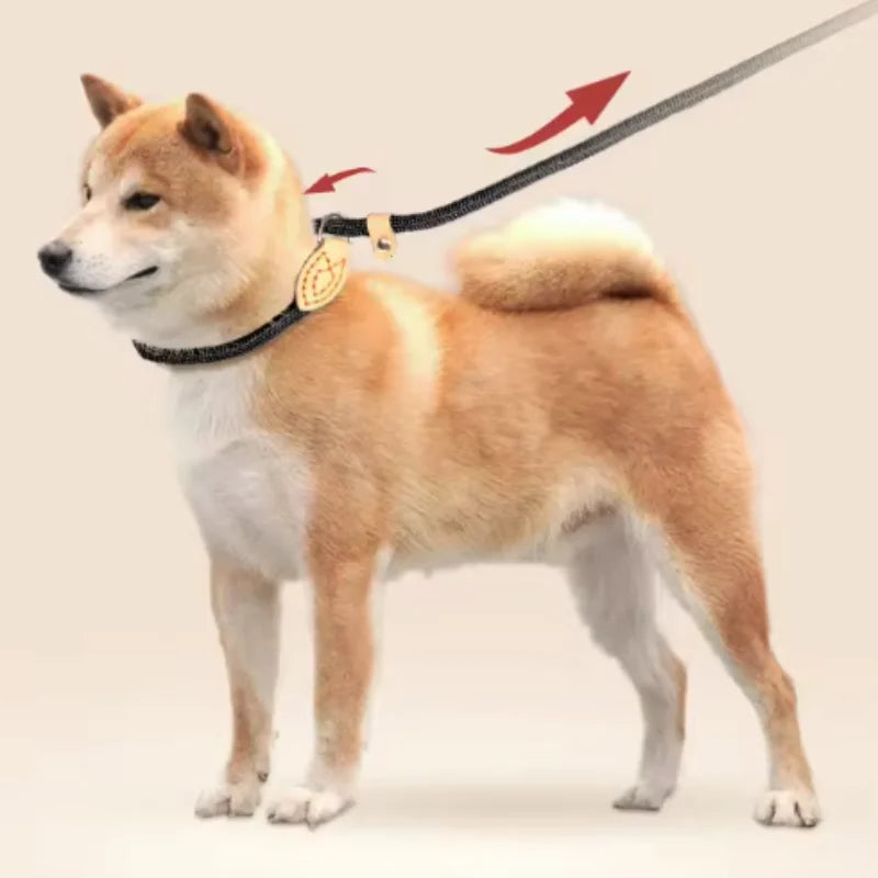 Guida in Corda Slip per Cani Medi e Grandi, Regolabile e Resistente