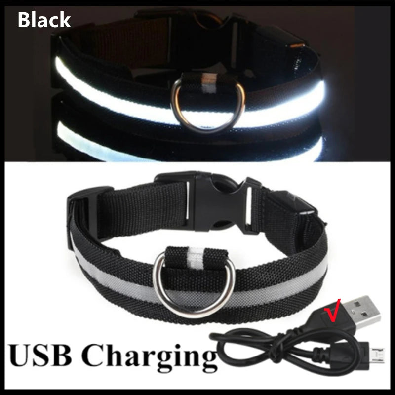 Collare LED Luminoso per Cani e Gatti - USB Ricaricabile, 3 Modalità,…