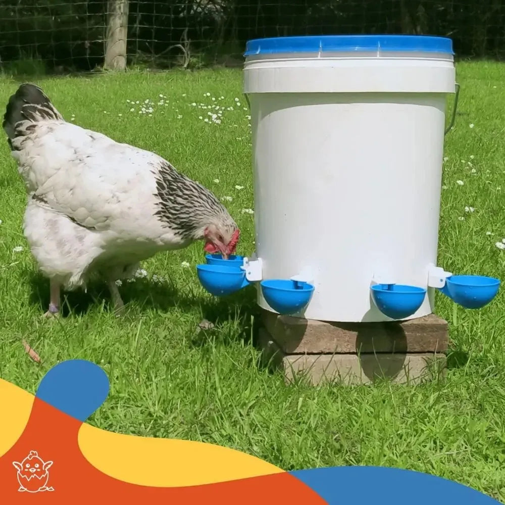 Kit da 5 dispenser automatici d'acqua per pollame – alimentatore e abbeveratoio